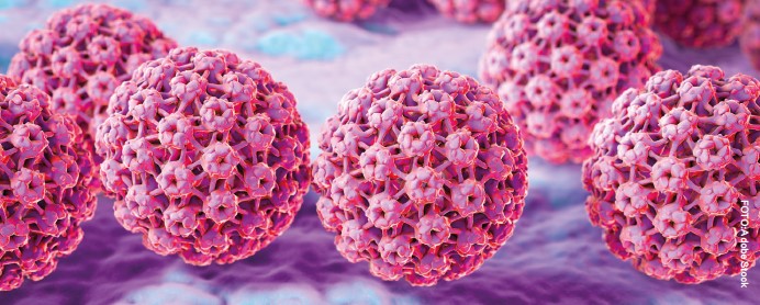 HPV: Vírus, s ktorým sa stretne až 80 % populácie a môže spôsobiť rakovinu.