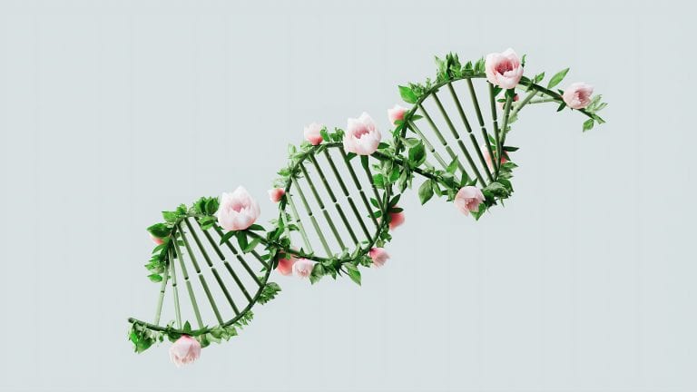 BRCA test